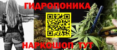 скорость Славгород