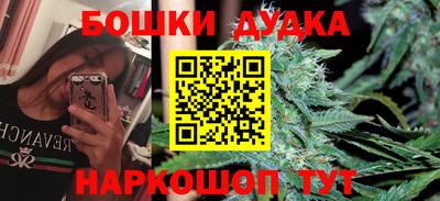 бошки Сланцы